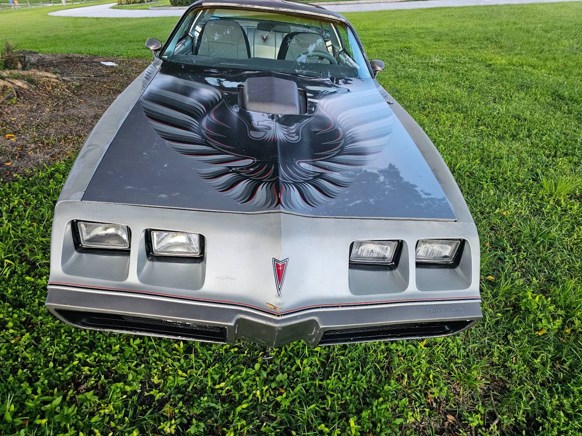 Pontiac-firebird-trans-am-ws6-1979-8