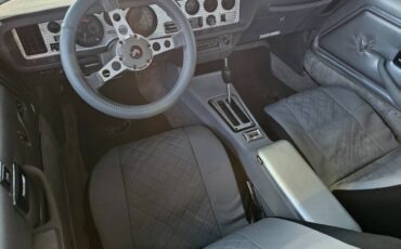Pontiac-firebird-trans-am-ws6-1979-9