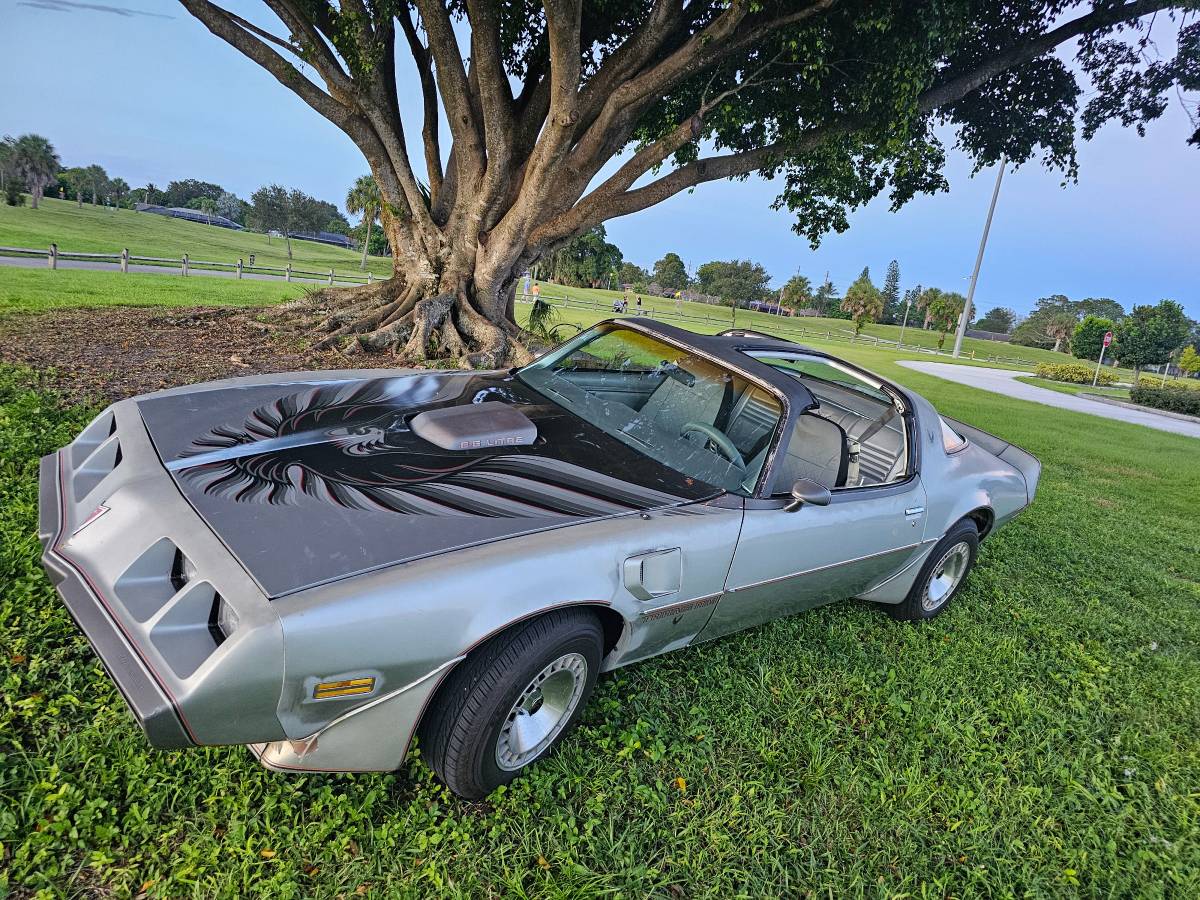 Pontiac-firebird-trans-am-ws6-1979
