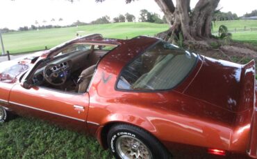 Pontiac-firebird-trans-am-ws6-1980-1