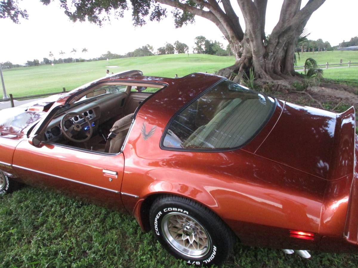 Pontiac-firebird-trans-am-ws6-1980-1