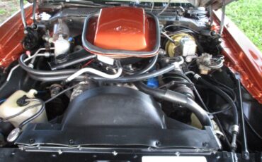 Pontiac-firebird-trans-am-ws6-1980-13