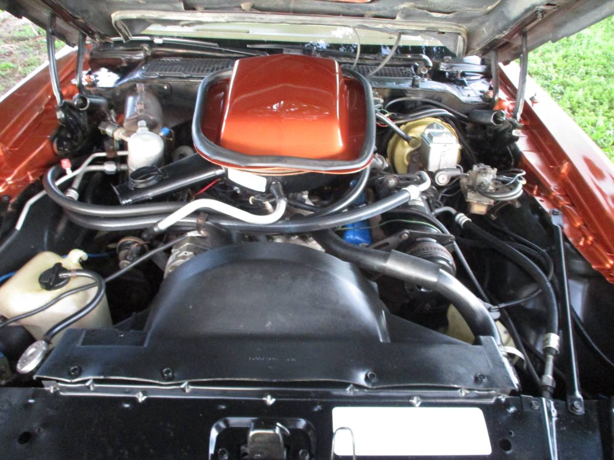 Pontiac-firebird-trans-am-ws6-1980-13