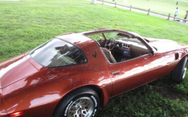 Pontiac-firebird-trans-am-ws6-1980-3