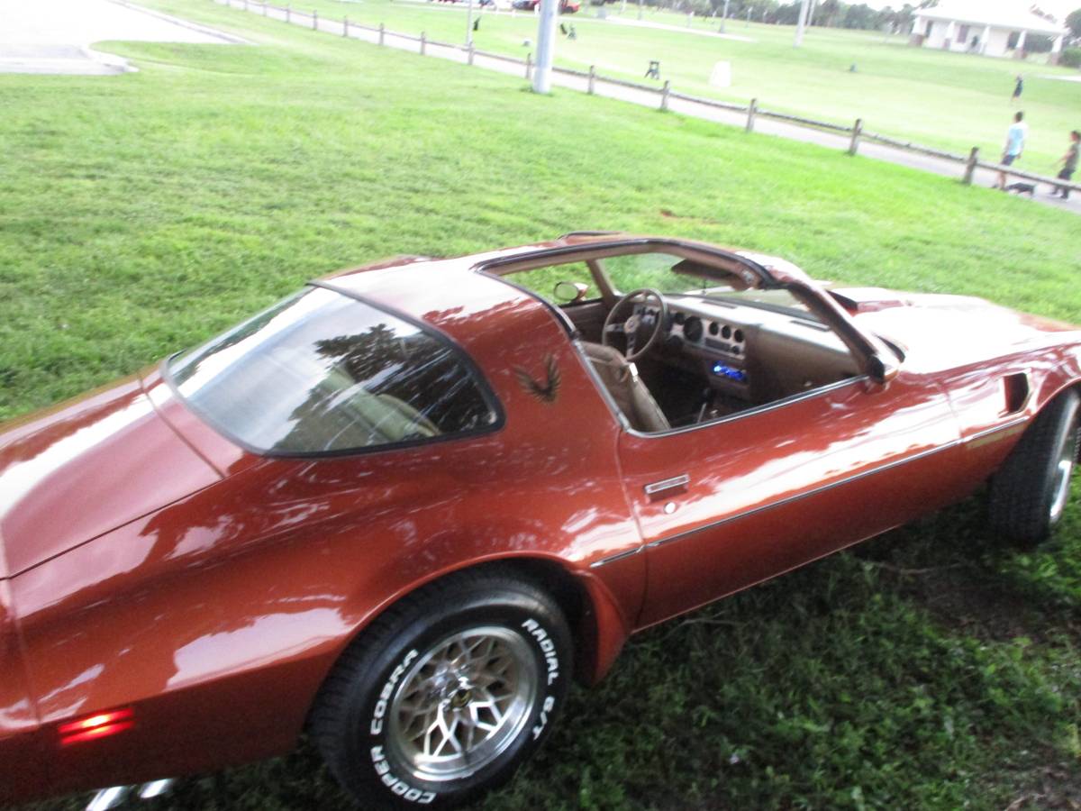 Pontiac-firebird-trans-am-ws6-1980-3