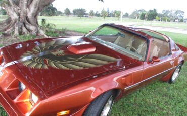Pontiac-firebird-trans-am-ws6-1980