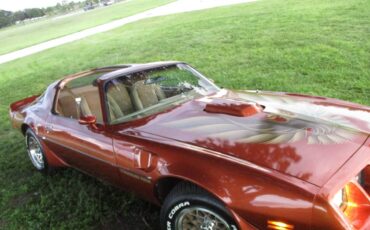 Pontiac-firebird-trans-am-ws6-1980-4