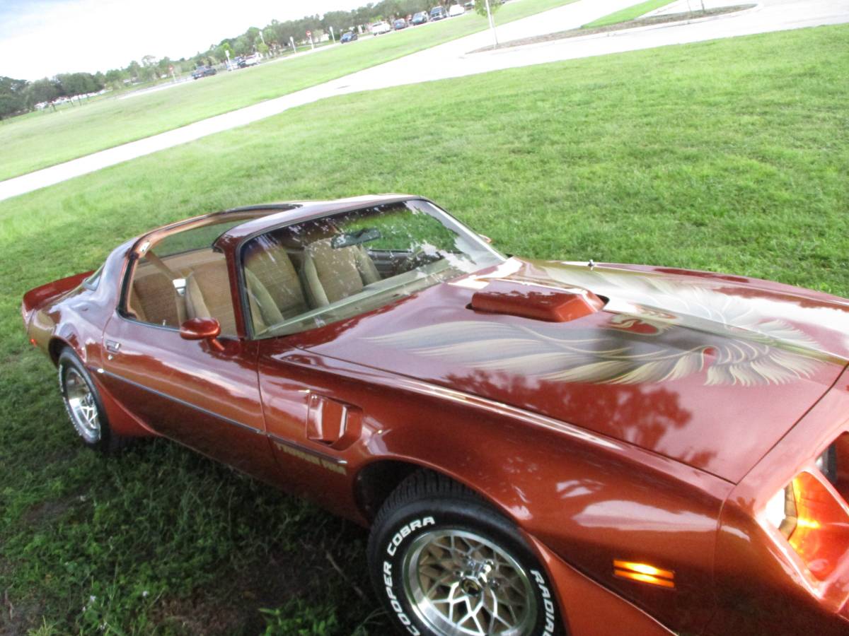 Pontiac-firebird-trans-am-ws6-1980-5