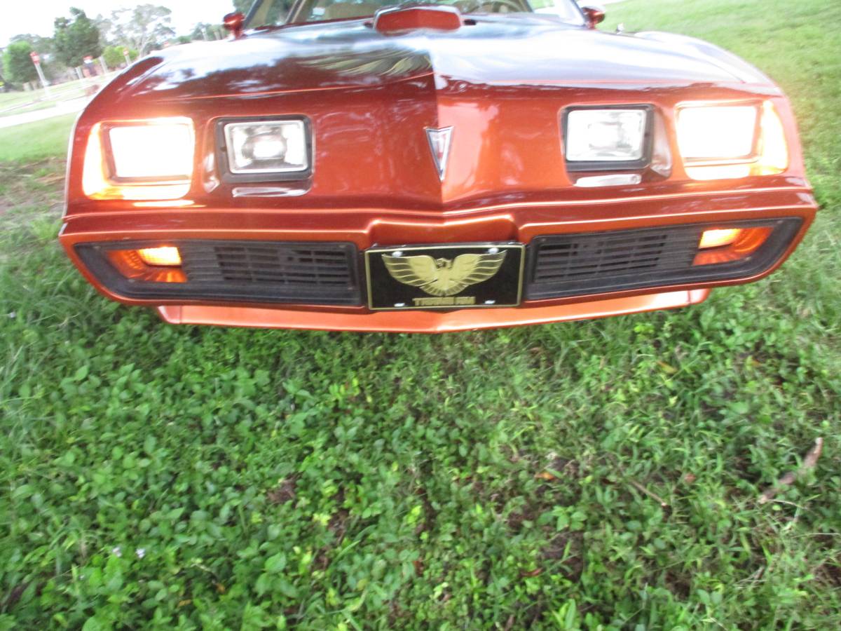 Pontiac-firebird-trans-am-ws6-1980-5