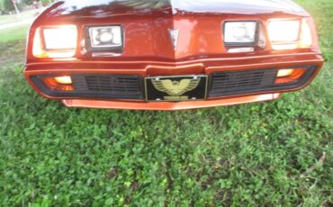 Pontiac-firebird-trans-am-ws6-1980-6