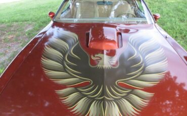Pontiac-firebird-trans-am-ws6-1980-6