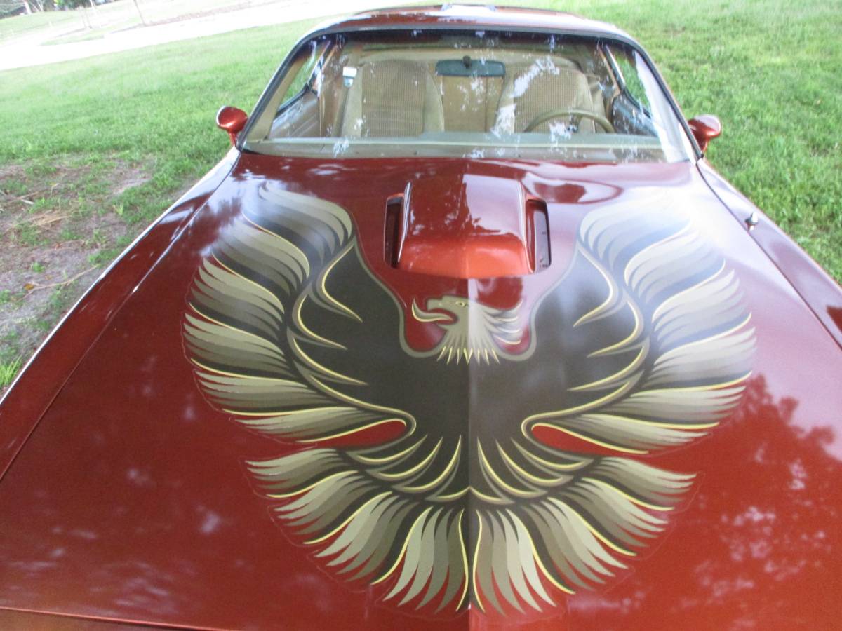 Pontiac-firebird-trans-am-ws6-1980-6