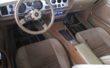 Pontiac-firebird-trans-am-ws6-1980-7