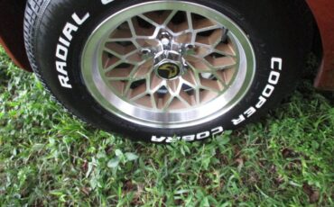 Pontiac-firebird-trans-am-ws6-1980-9