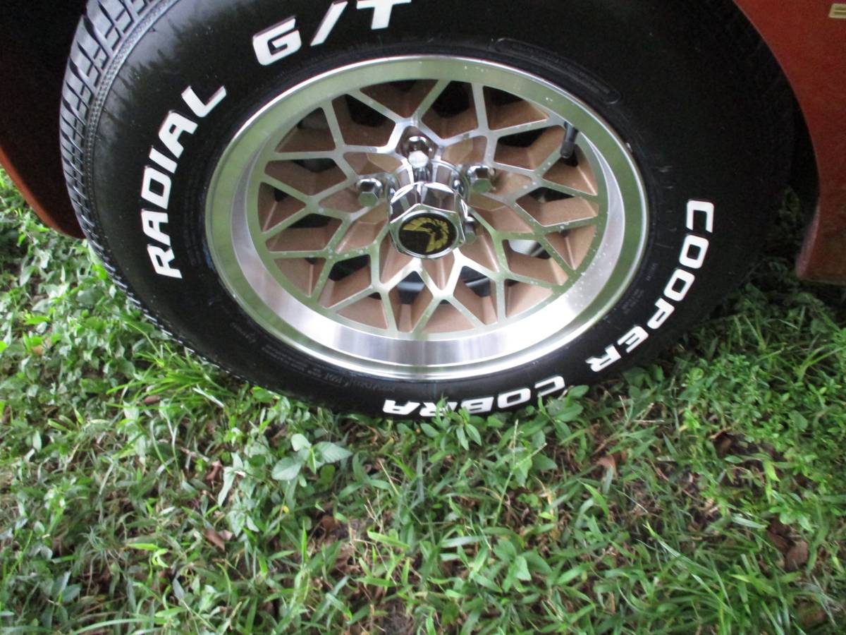 Pontiac-firebird-trans-am-ws6-1980-9