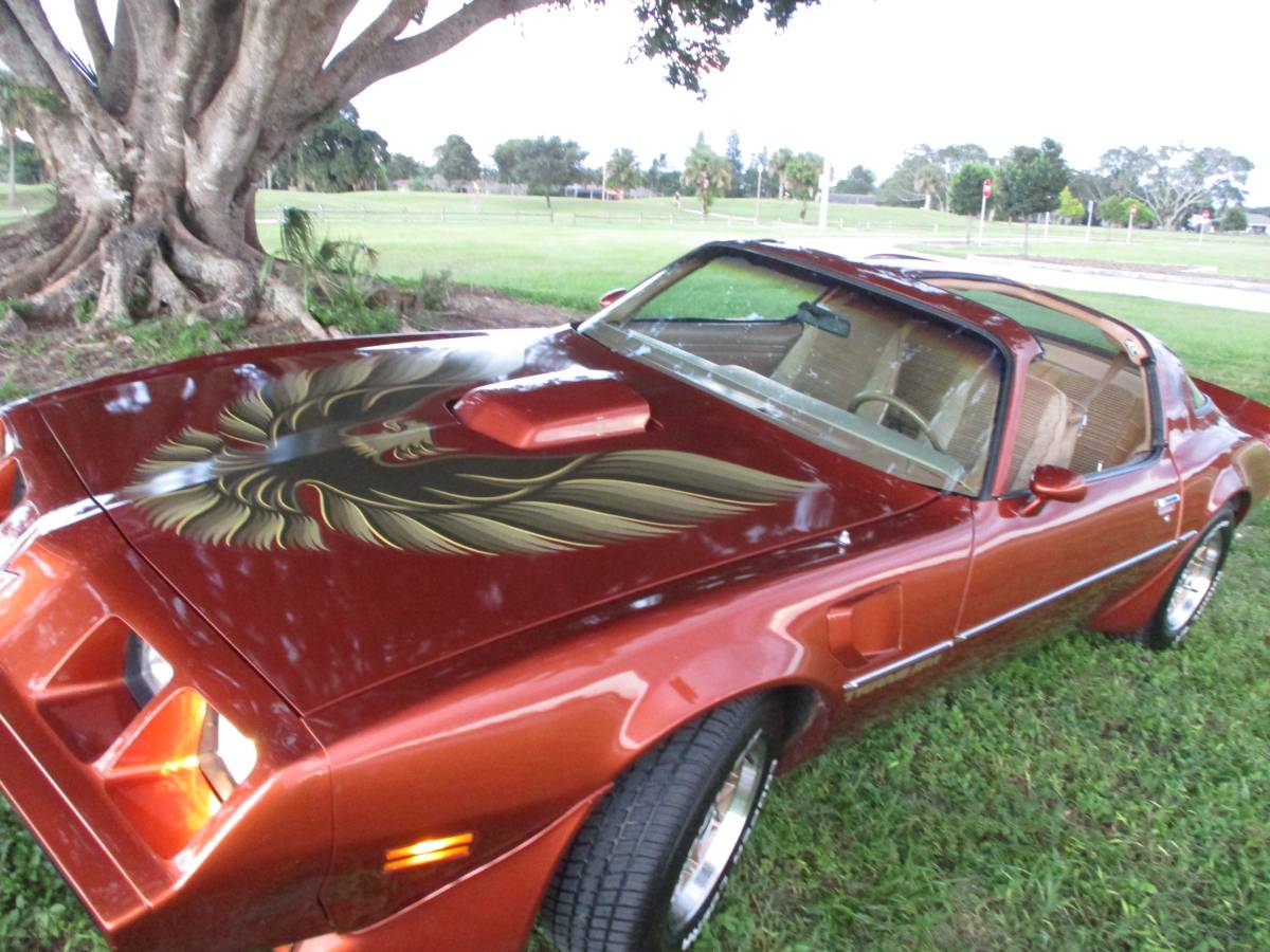 Pontiac-firebird-trans-am-ws6-1980