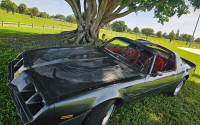 Pontiac firebird trans am ws6 1981