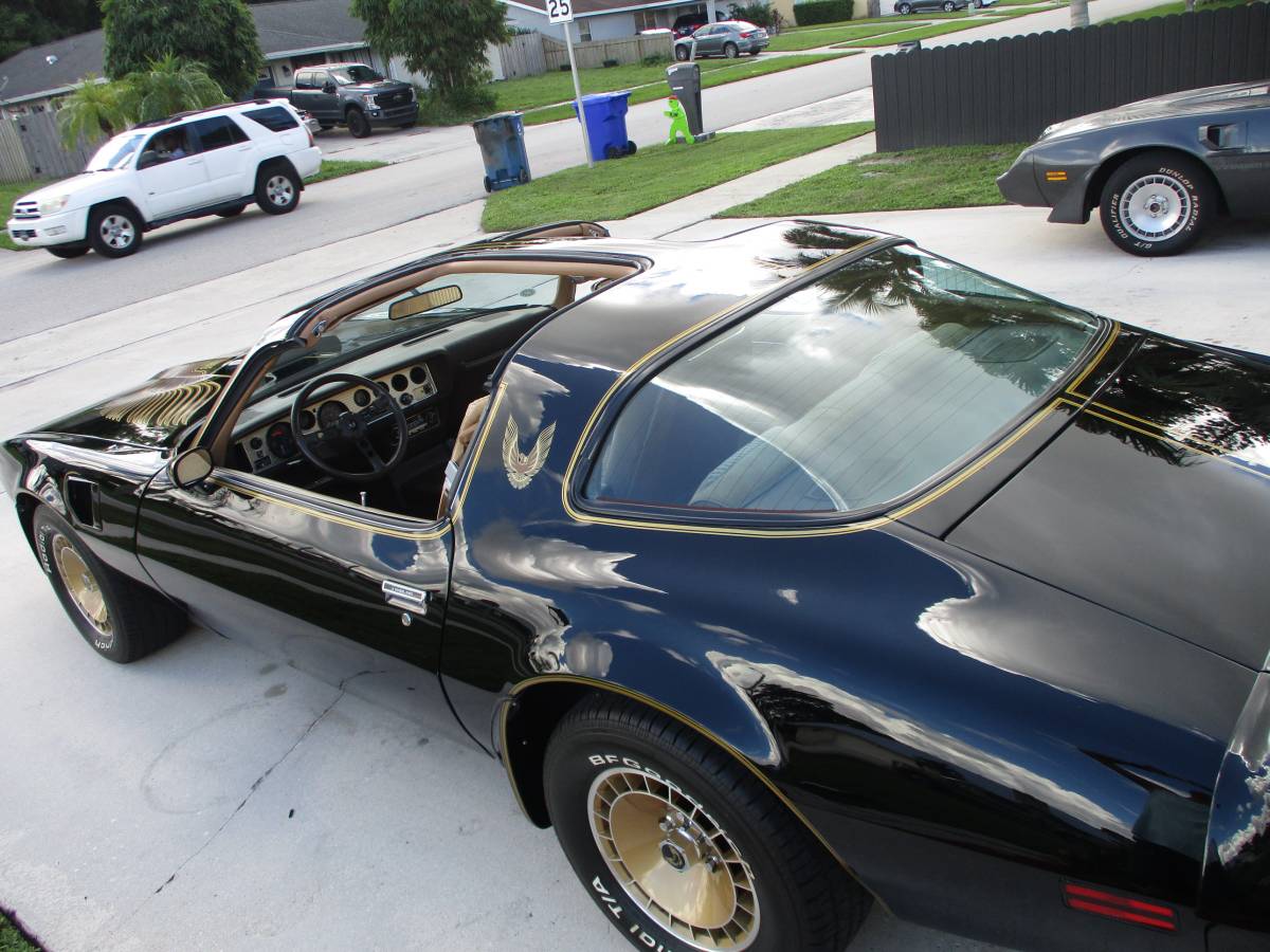 Pontiac-firebird-trans-am-ws6-y84-1981-1