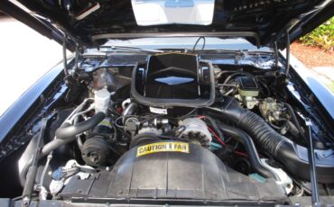 Pontiac-firebird-trans-am-ws6-y84-1981-10