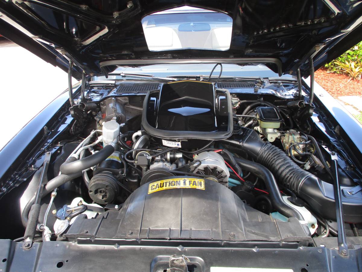 Pontiac-firebird-trans-am-ws6-y84-1981-10