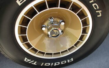 Pontiac-firebird-trans-am-ws6-y84-1981-12