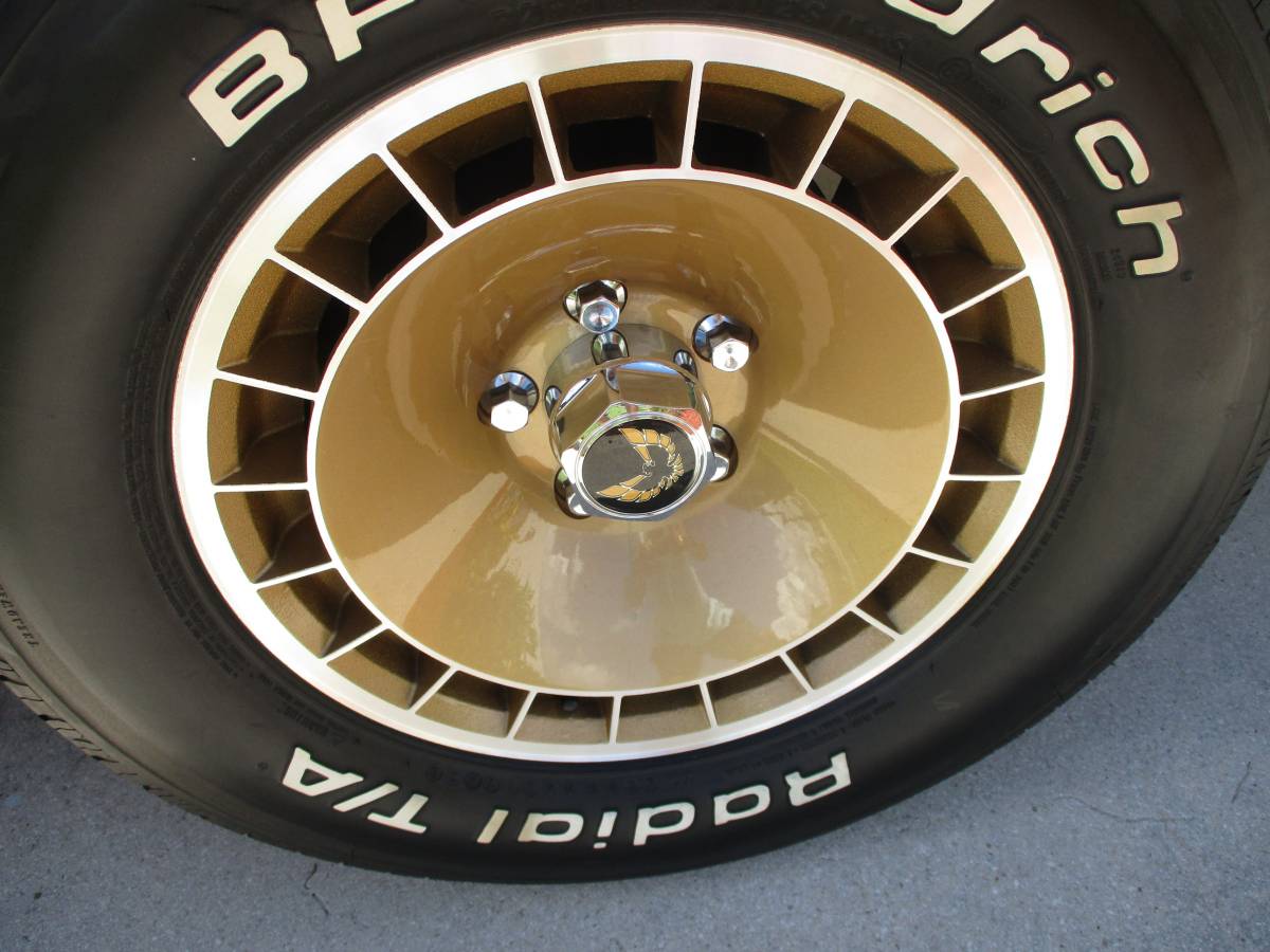 Pontiac-firebird-trans-am-ws6-y84-1981-12