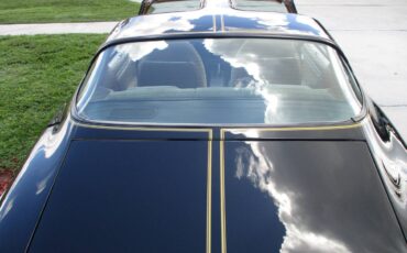 Pontiac-firebird-trans-am-ws6-y84-1981-2