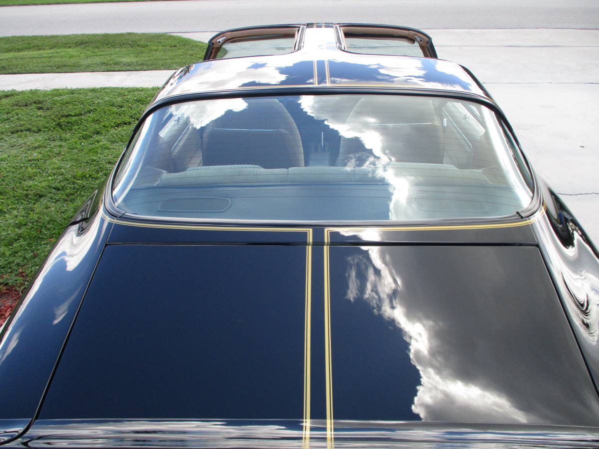 Pontiac-firebird-trans-am-ws6-y84-1981-2