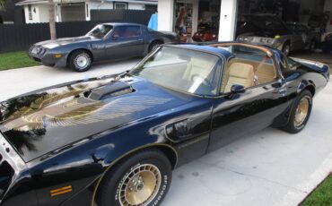 Pontiac-firebird-trans-am-ws6-y84-1981