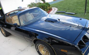 Pontiac-firebird-trans-am-ws6-y84-1981-4