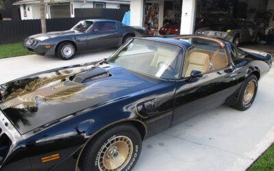 Pontiac firebird trans am ws6 y84 1981