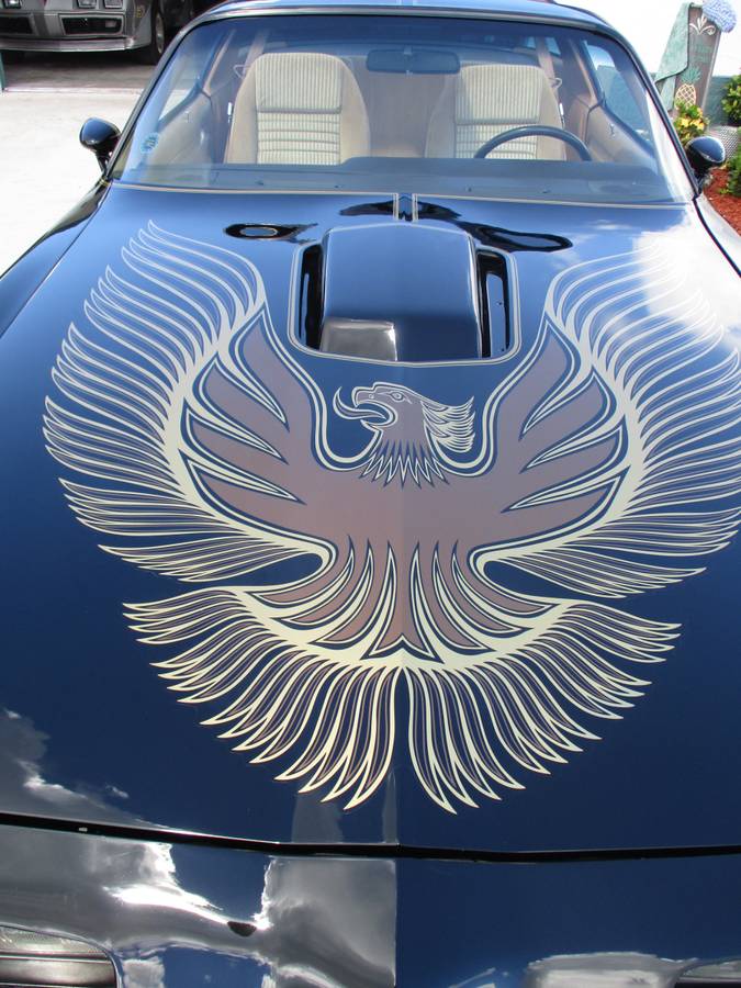 Pontiac-firebird-trans-am-ws6-y84-1981-6
