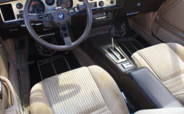 Pontiac-firebird-trans-am-ws6-y84-1981-7