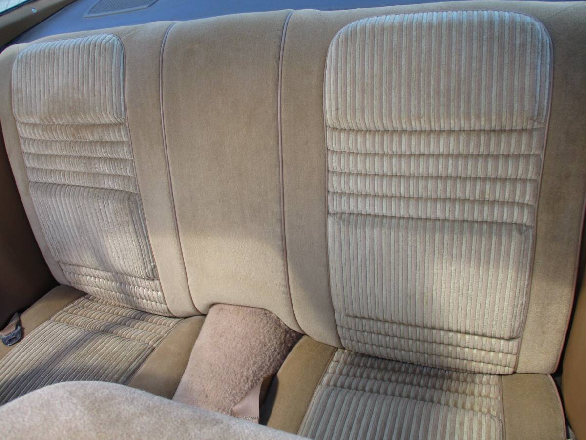 Pontiac-firebird-trans-am-ws6-y84-1981-8