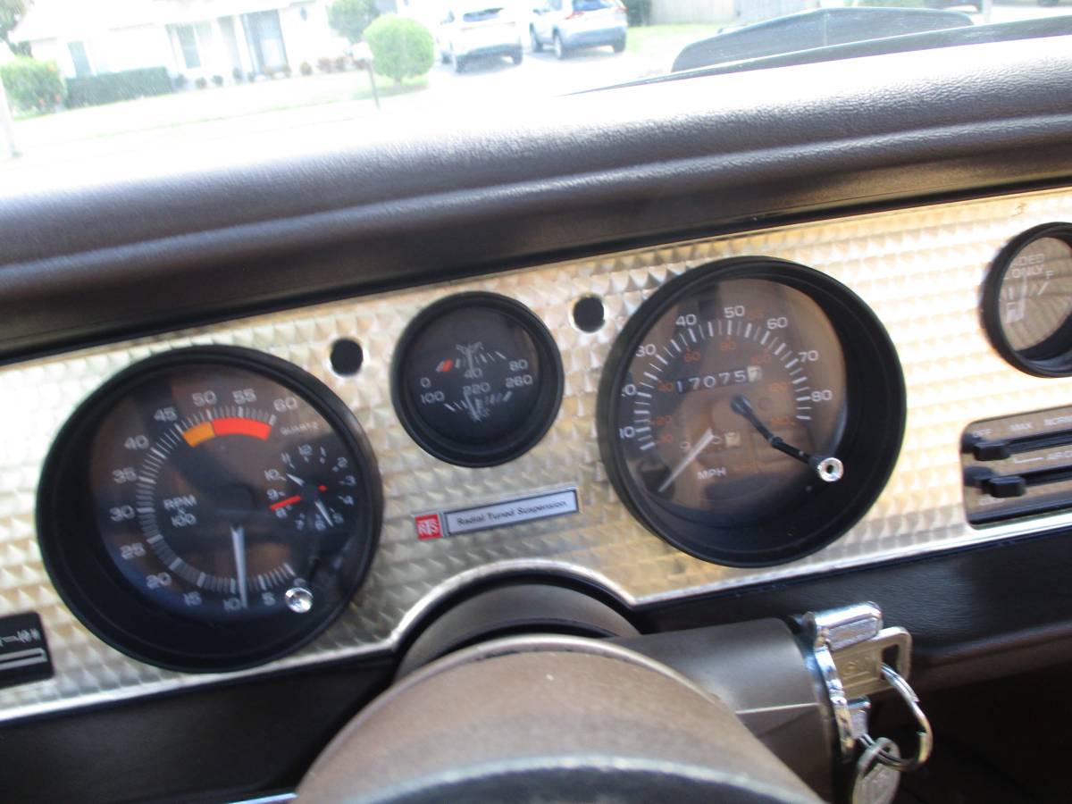 Pontiac-firebird-trans-am-ws6-y84-1981-9