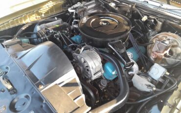 Pontiac-luxury-lemans-1972-18