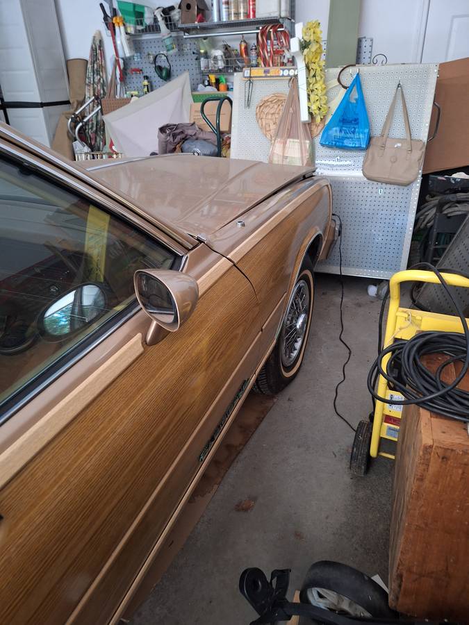 Pontiac-parisienne-·-wagon-·-1986-brown-14