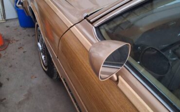 Pontiac-parisienne-·-wagon-·-1986-brown-15