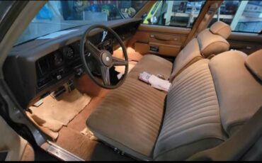 Pontiac-parisienne-·-wagon-·-1986-brown-6