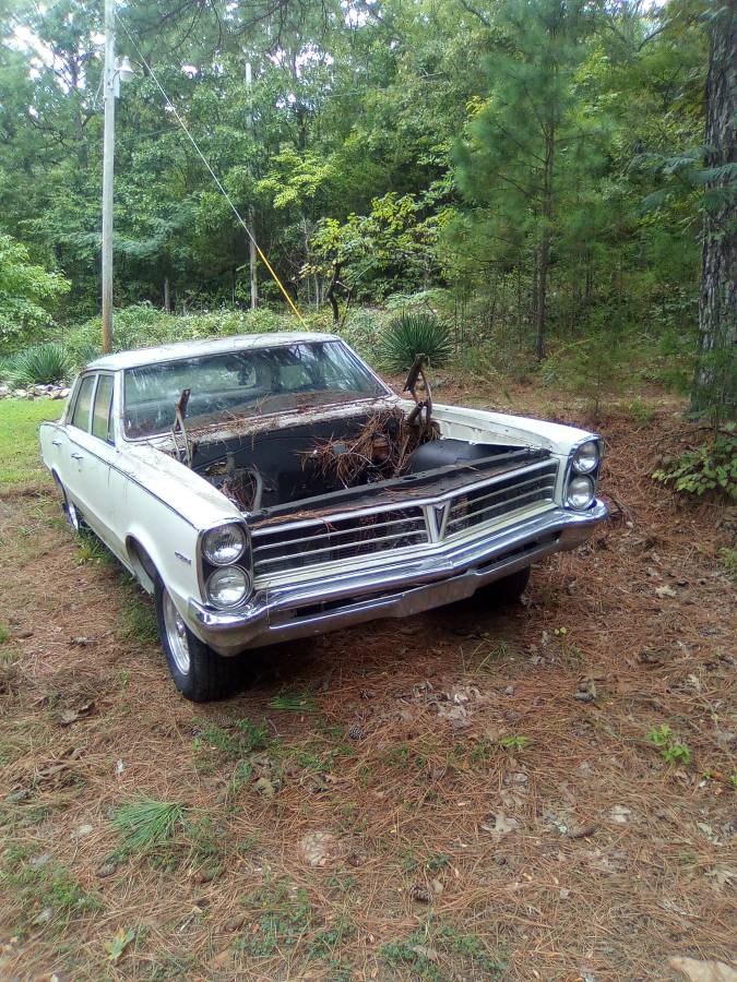 Pontiac-tempest-1965-white-1