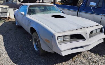 Pontiac-trans-am-1977-19