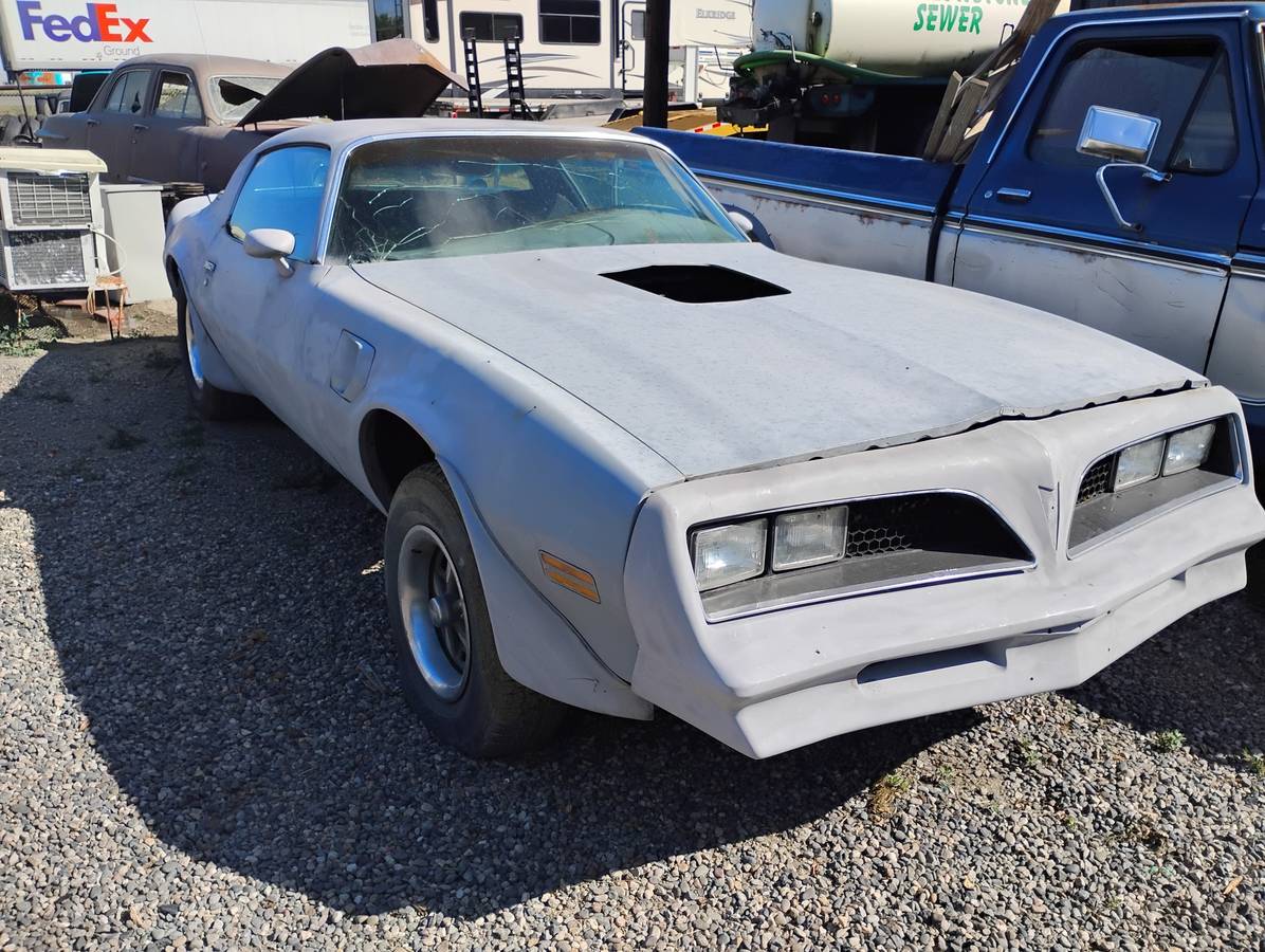 Pontiac-trans-am-1977-19