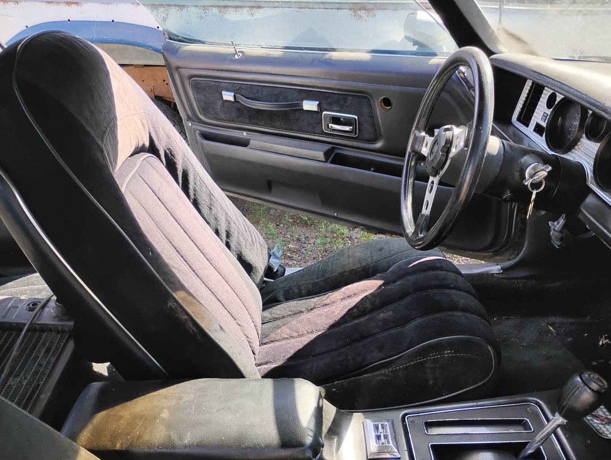 Pontiac-trans-am-1977-8