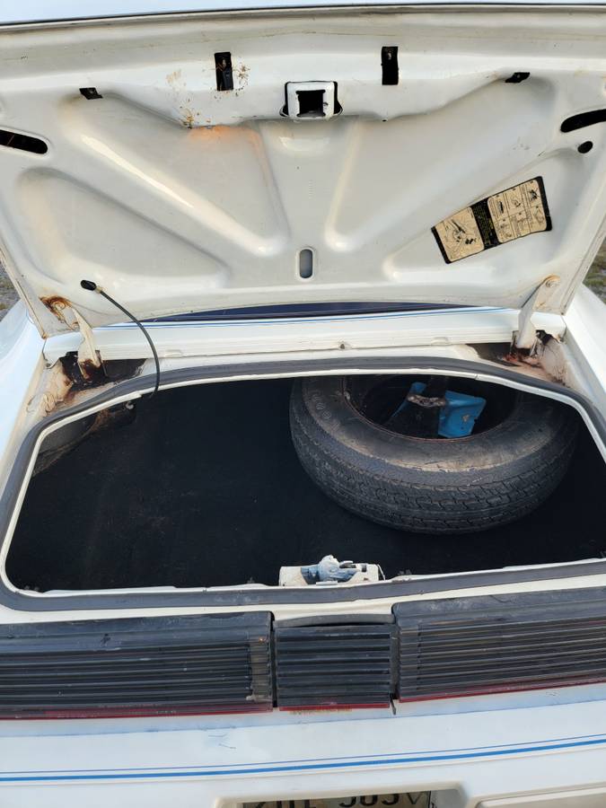 Pontiac-trans-am-1979-white-16