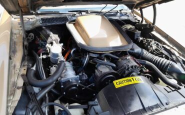 Pontiac-trans-am-1980-11