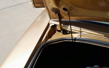 Pontiac-trans-am-1980-14