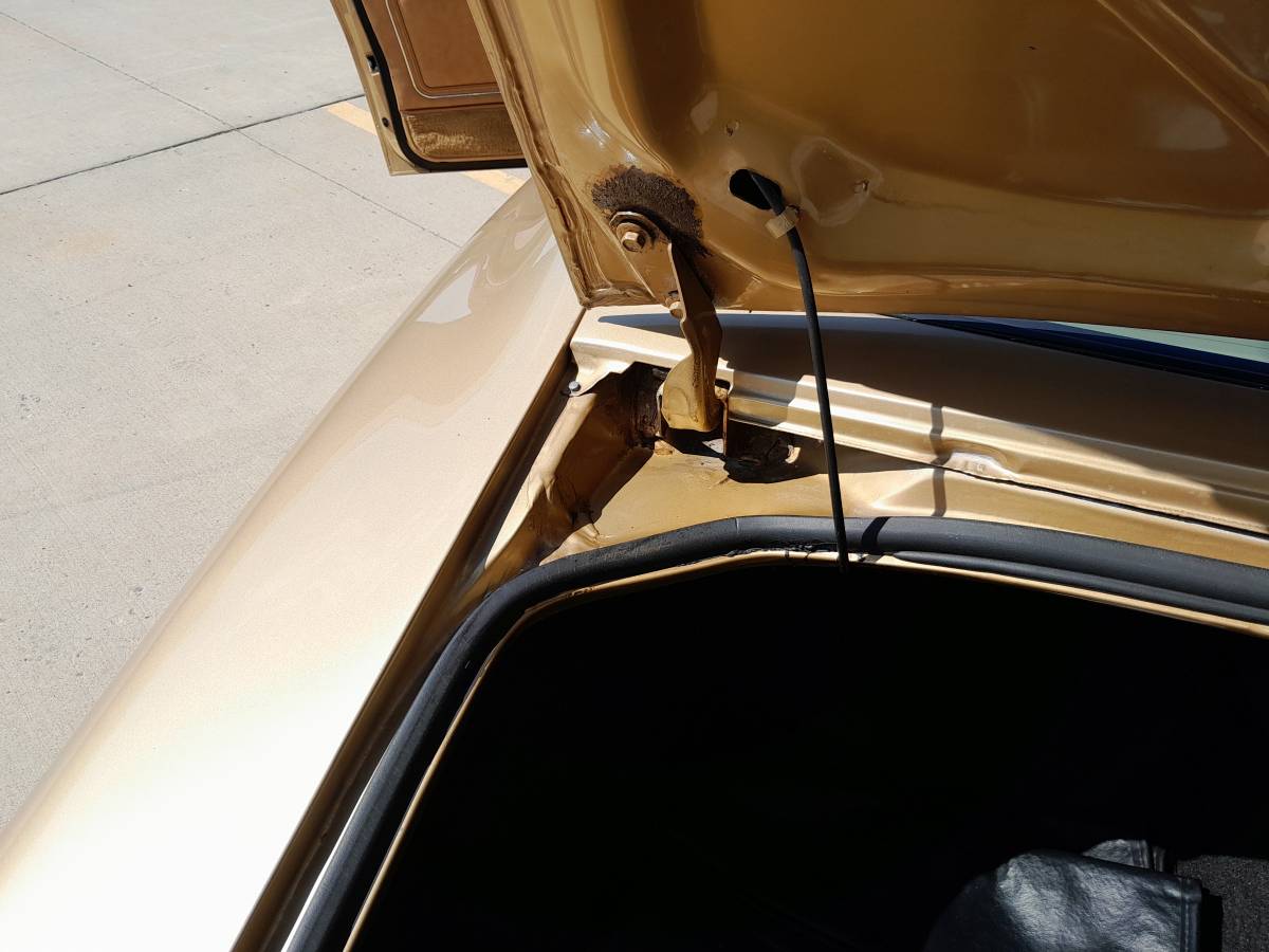 Pontiac-trans-am-1980-14