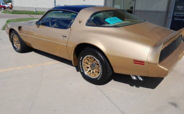 Pontiac-trans-am-1980-19