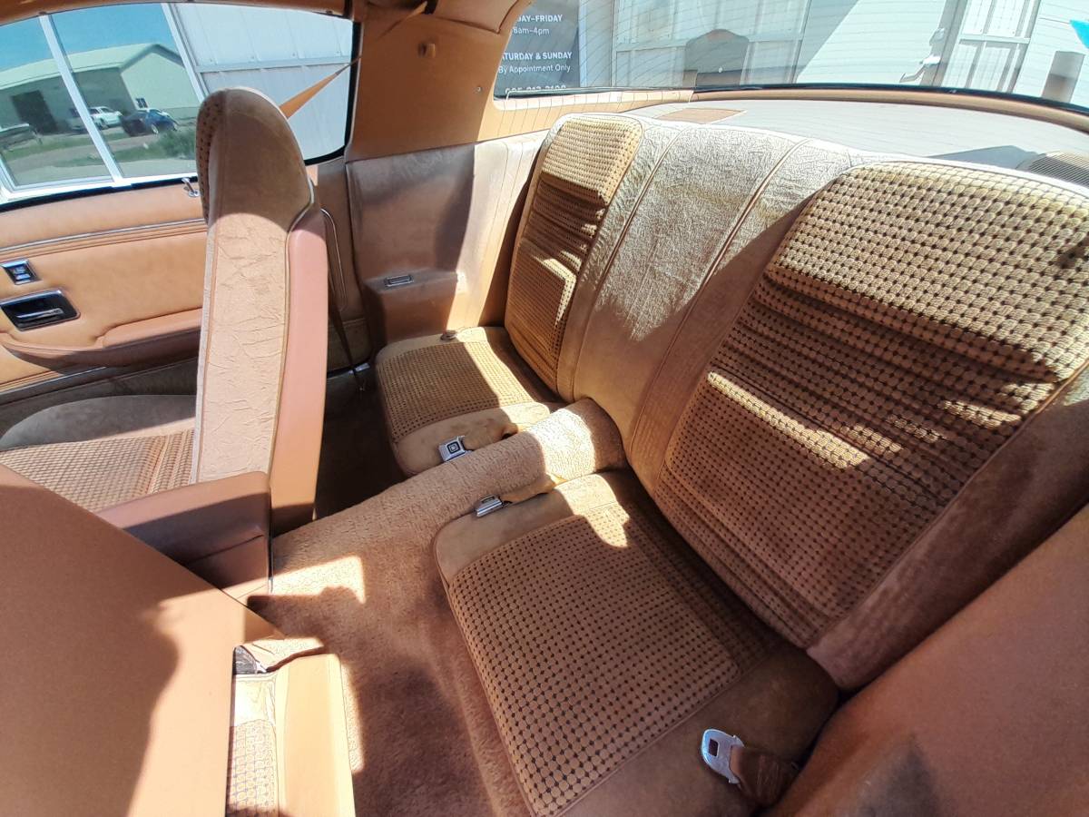 Pontiac-trans-am-1980-2