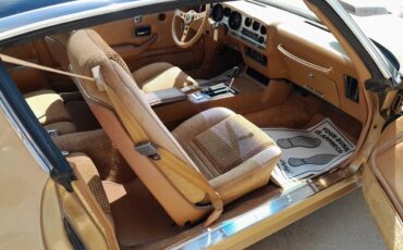 Pontiac-trans-am-1980-22